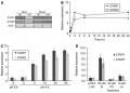 Thumbnail for version as of 12:10, 4 June 2014