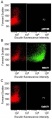 Thumbnail for version as of 12:46, 4 June 2014