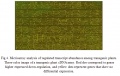 Thumbnail for version as of 08:57, 9 May 2014