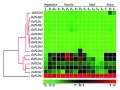 Thumbnail for version as of 10:21, 5 June 2014