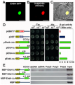 Thumbnail for version as of 03:18, 10 June 2014