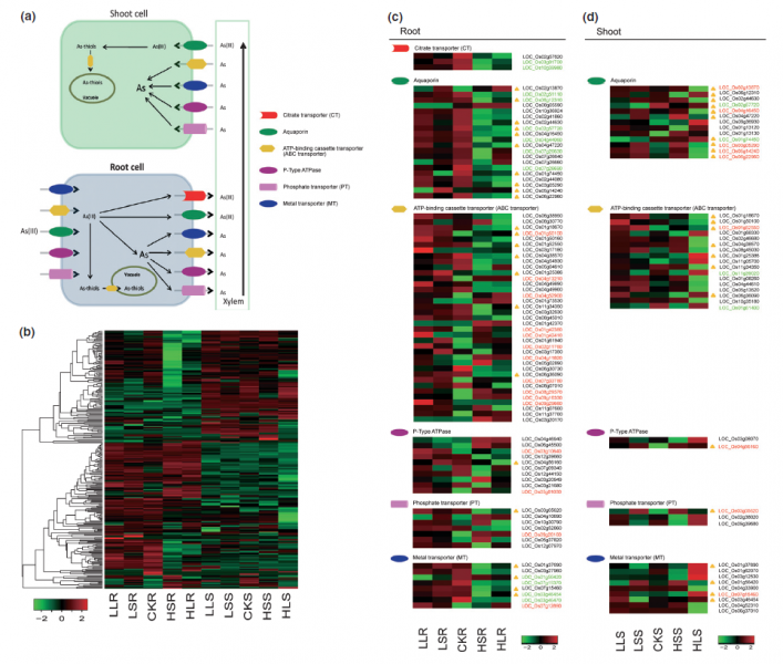 File:IC4R013-RNA-Seq-2012-22537016-f2.png