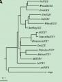 Thumbnail for version as of 02:23, 12 March 2015