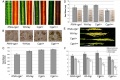 Thumbnail for version as of 12:52, 18 May 2014