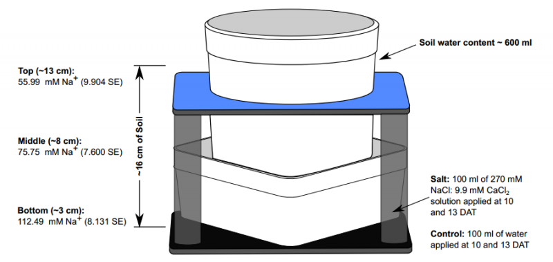 File:IC4R008-Phenomics-2015-26111541-sf2.png