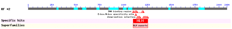 File:OsTDR 3.png