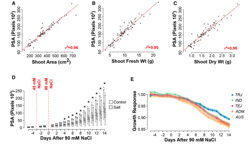File:IC4R004-Phenomics-2015-26111541-1.png