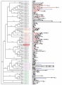 Thumbnail for version as of 10:09, 7 June 2014