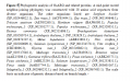 Thumbnail for version as of 18:57, 1 June 2014