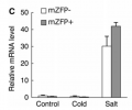 Thumbnail for version as of 14:02, 28 December 2014