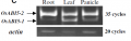 Thumbnail for version as of 01:18, 24 December 2014