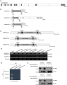 Thumbnail for version as of 15:57, 26 December 2014