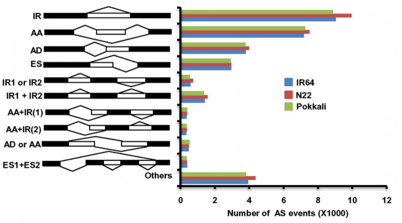 File:Sg9-RNA-Seq-2016-27029818-3.png