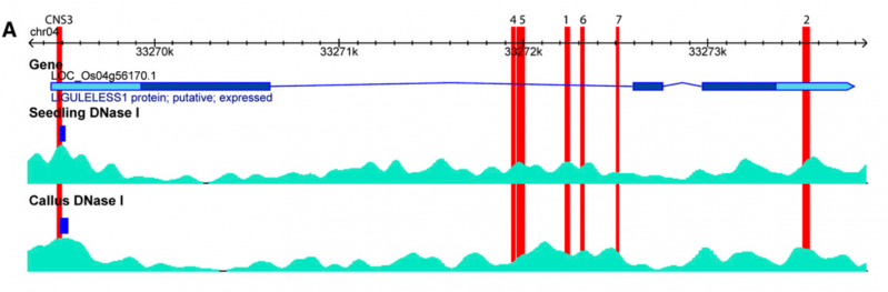 File:IC4R006-Epigenomic-2016-22110044-1.png