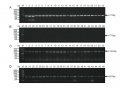 Thumbnail for version as of 13:49, 8 June 2014