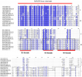 Thumbnail for version as of 10:31, 24 May 2014