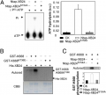 Thumbnail for version as of 14:03, 6 June 2014