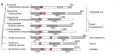 Thumbnail for version as of 04:33, 17 May 2014