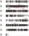 Thumbnail for version as of 07:22, 3 June 2014