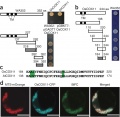 Thumbnail for version as of 01:58, 8 June 2014