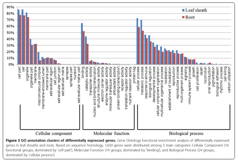 Sg5-RNA-Seq-2015-25644226-2.png