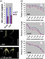 Thumbnail for version as of 07:11, 27 December 2014