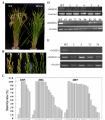 Thumbnail for version as of 09:16, 25 May 2014