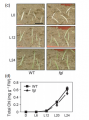 Thumbnail for version as of 01:43, 10 June 2014