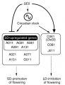 Thumbnail for version as of 04:04, 11 June 2014