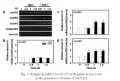 Thumbnail for version as of 11:04, 7 June 2014