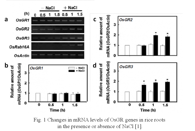 File:OsGR2 Fig.1.png