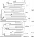 Thumbnail for version as of 08:29, 12 January 2015