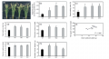 Thumbnail for version as of 17:58, 1 June 2014