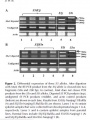 Thumbnail for version as of 08:11, 29 May 2014