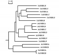 Thumbnail for version as of 00:38, 10 June 2014