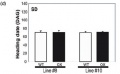Thumbnail for version as of 03:22, 10 June 2014