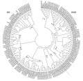 Thumbnail for version as of 00:47, 10 June 2014