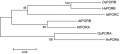 Thumbnail for version as of 01:11, 10 June 2014