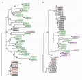 Thumbnail for version as of 08:19, 10 June 2014
