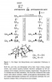 Thumbnail for version as of 16:21, 11 June 2014