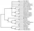 Thumbnail for version as of 17:10, 1 June 2014