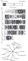 Thumbnail for version as of 13:11, 8 June 2014