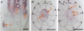 Thumbnail for version as of 11:27, 8 June 2014