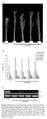 Thumbnail for version as of 14:53, 11 June 2014