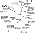 Thumbnail for version as of 15:04, 9 June 2014