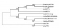 Thumbnail for version as of 07:14, 3 June 2014