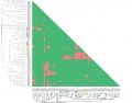 Thumbnail for version as of 09:54, 7 June 2014