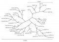 Thumbnail for version as of 08:36, 4 June 2014