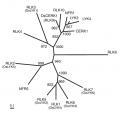 Thumbnail for version as of 10:19, 3 June 2014
