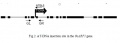 Thumbnail for version as of 08:57, 9 May 2014